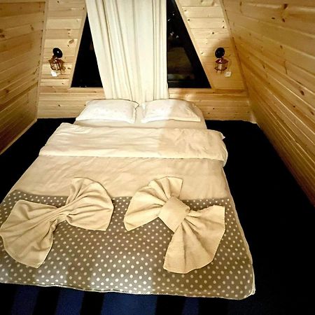 Ska Cottage Kazbegi Eksteriør billede